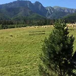 Chalet Goralski Dom Z Kominkiem Zakopane