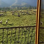 Chalet Goralski Dom Z Kominkiem Zakopane