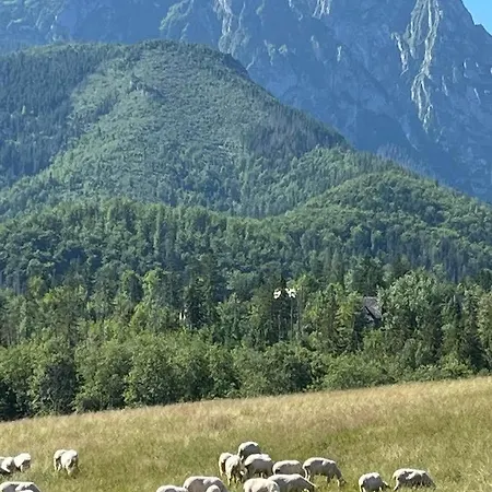 Chalet Goralski Dom Z Kominkiem *