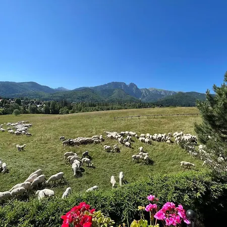 Chalet Goralski Dom Z Kominkiem *