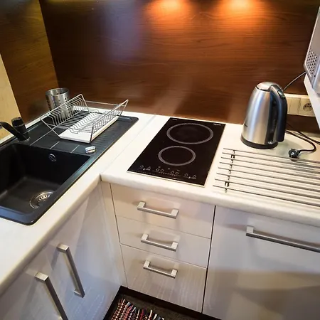 Goralski Dom Z Kominkiem ザコパネ