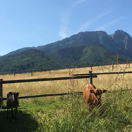 Goralski Dom Z Kominkiem