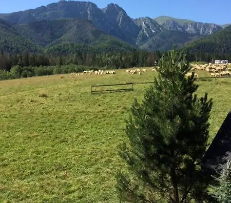 シャレー Goralski Dom Z Kominkiem ザコパネ