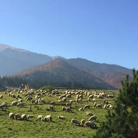 シャレー Goralski Dom Z Kominkiem