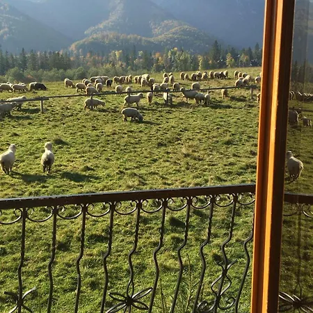 シャレー Goralski Dom Z Kominkiem ザコパネ