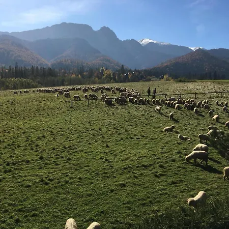 Goralski Dom Z Kominkiem