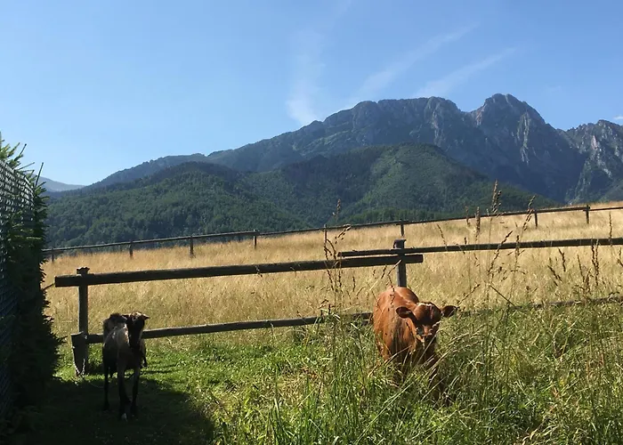 Goralski Dom Z Kominkiem