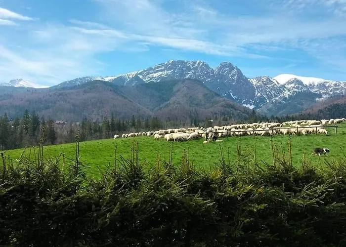 Goralski Dom Z Kominkiem *