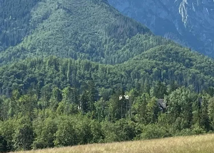 샬레 Goralski Dom Z Kominkiem *